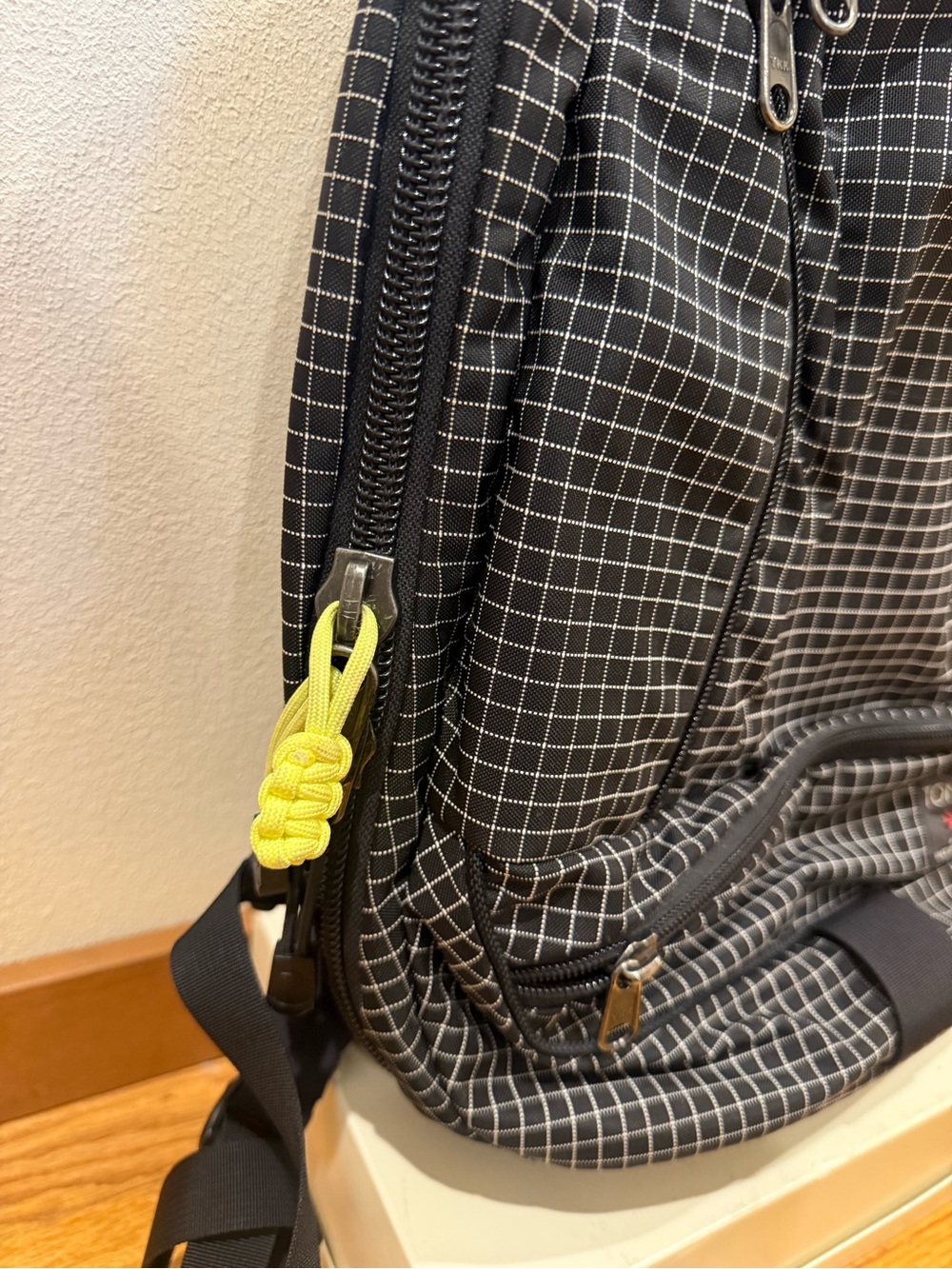 Tom Bihn Synapse Backpack Og View 4